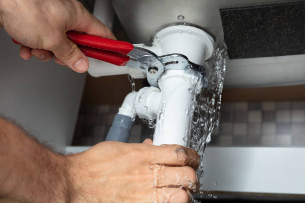 Best Professional water damage repair  in Rothsville, PA