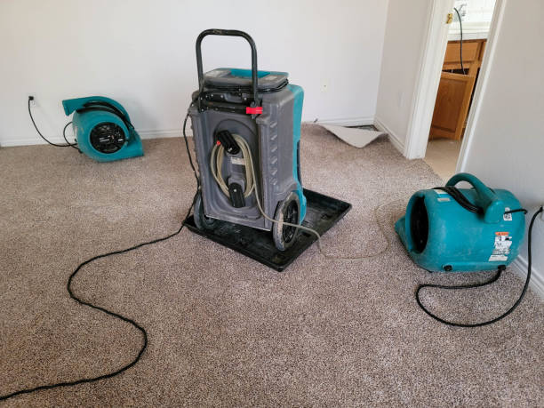 Water damage restoration experts in Rothsville, PA