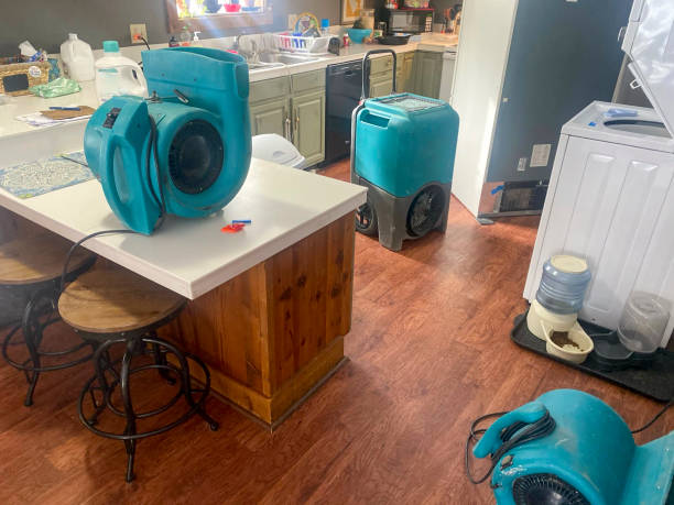 Best Ceiling water damage repair  in Rothsville, PA