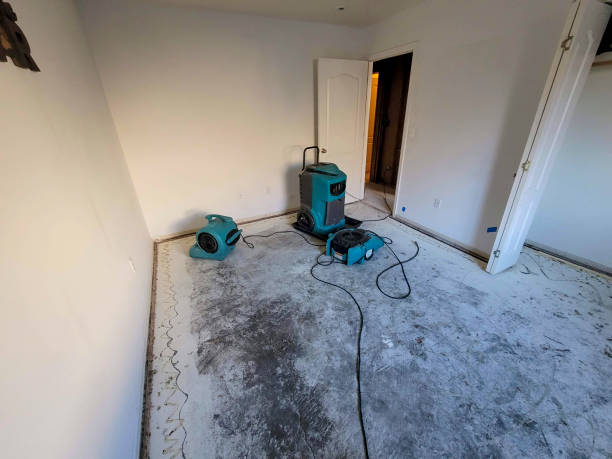 Best Water damage cleanup near me  in Rothsville, PA