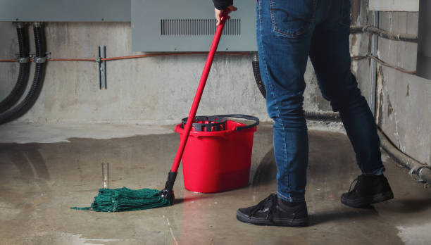 Best 24-hour water damage restoration  in Rothsville, PA