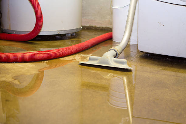 Best Flood damage cleanup  in Rothsville, PA
