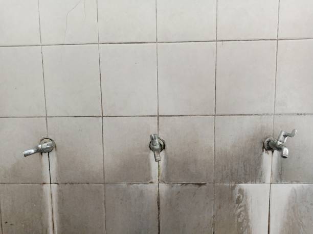 Water damage restoration mold remediation in Rothsville, PA