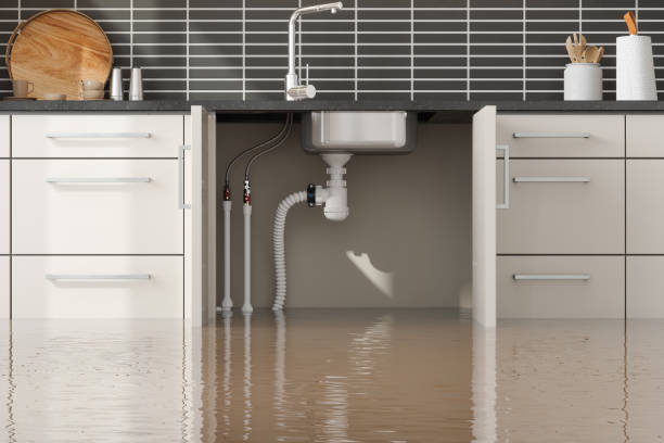 Reliable Rothsville, PA Water damage restoration Solutions