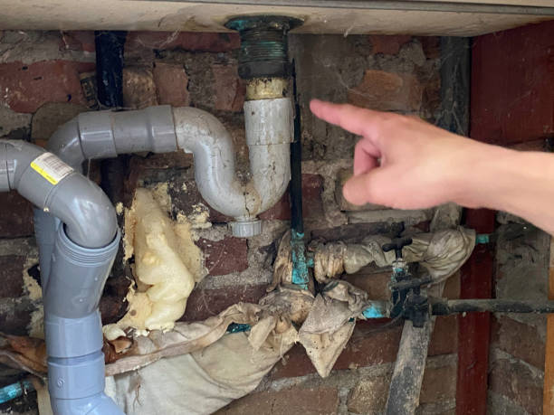 Best Water damage restoration process  in Rothsville, PA